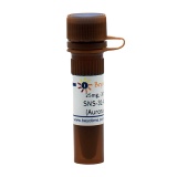 碧云天 SNS-314 Mesylate (Aurora A抑制剂)(SC0119-25mg)