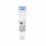 碧云天 RO-3306 (CDK抑制剂)(SC6673-5mg)