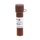 碧云天 s-喜树碱(≥90%, Reagent grade)(ST2123-250mg)