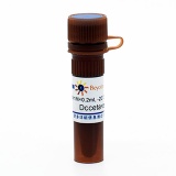 碧云天 Docetaxel (Microtubule Assosiated抑制剂)(SC0155-10mM)