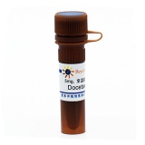 碧云天 Docetaxel (Microtubule Assosiated抑制剂)(SC0155-5mg)