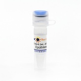 碧云天 Epothilone B (Microtubule Assosiated抑制剂)(SC0164-10mM)