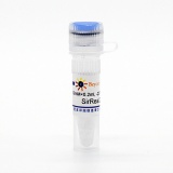 碧云天 SirReal2 (SIRT2抑制剂)(SC0290-10mM)
