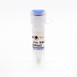 碧云天 SirReal2 (SIRT2抑制剂)(SC0290-25mg)