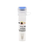 碧云天 AT9283 (JAK抑制剂)(SD4789-25mg)