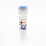 碧云天 Erlotinib (EGFR抑制剂)(SC0168-10mM)