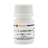 碧云天 PDTC (NF-κB抑制剂/抗氧化剂)(S1808)