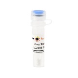 碧云天 LCZ696 (RAAS抑制剂)(SD0015-25mg)