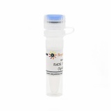 碧云天 R406 (free base) (Syk抑制剂)(SC1022-10mM)