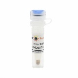 碧云天 PRT062607 HCl (Syk抑制剂)(SC1166-25mg)
