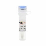 碧云天 CGI-1746 (BTK抑制剂)(SC1184-25mg)