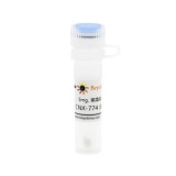 碧云天 Caspase抑制剂Z-VAD-FMK(C1202-5mg)