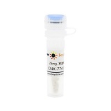 碧云天 CNX-774 (BTK抑制剂)(SC1202-25mg)