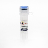 碧云天 Oseltamivir phosphate (Neuraminidase抑制剂)(SC0308-10mM)
