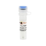 碧云天 LED209 (QseC抑制剂)(SC3310-5mg)