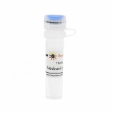 碧云天 Nesbuvir (HCV抑制剂)(SC3323-10mM)
