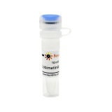碧云天 Cobimetinib (MEK抑制剂)(SD5942-10mM)