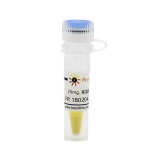 碧云天 FR 180204 (ERK抑制剂)(SD5978-25mg)