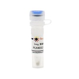 碧云天 PLX4032 (Raf抑制剂)(SD5915-5mg)