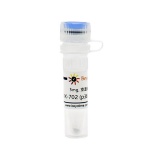 碧云天 VX-702 (p38 MAPK抑制剂)(SD5960-5mg)
