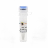 碧云天 Bosutinib (Src抑制剂)(SC1004-25mg)