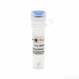 碧云天 Bosutinib (Src抑制剂)(SC1004-5mg)