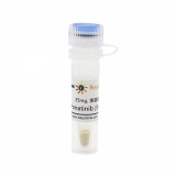 碧云天 Ponatinib (Src-Abl抑制剂)(SC1009-25mg)