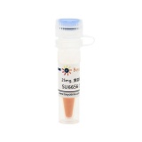 碧云天 SU6656 (Src抑制剂)(SC1027-25mg)