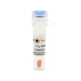 碧云天 SU6656 (Src抑制剂)(SC1027-5mg)