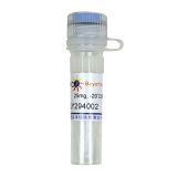 碧云天 LY294002 (PI3K抑制剂)(S1737-25mg)