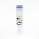 碧云天 Perifosine (Akt抑制剂)(SC0227-10mM)