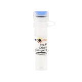 碧云天 Chlorotrianisene (Estrogen Receptor调节剂)(SD0020-5mg)