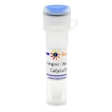 碧云天 Calyculin A (PP1抑制剂)(SC0348-10μg)