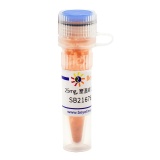 碧云天 SB216763 (GSK-3抑制剂)(SC0384-25mg)