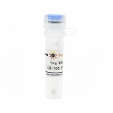 碧云天 LB-100 (PP2A抑制剂)(SF1082-5mg)