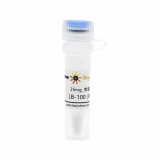碧云天 LB-100 (PP2A抑制剂)(SF1082-25mg)