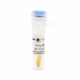 碧云天 IM-12 (GSK-3抑制剂)(SF2663-25mg)