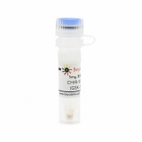 碧云天 CHIR-99021 HCl (GSK-3抑制剂)(SF2703-5mg)