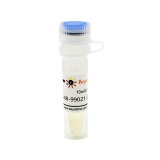 碧云天 CHIR-99021 (GSK-3抑制剂)(SF2708-10mM)