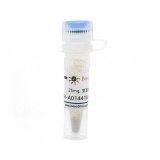 碧云天 AR-A014418 (GSK-3抑制剂)(SF2744-25mg)