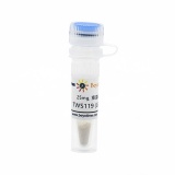 碧云天 TWS119 (GSK-3抑制剂)(SF2771-25mg)