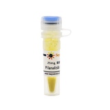 碧云天 Pilaralisib (PI3K抑制剂)(SF2775-25mg)