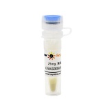 碧云天 GSK690693 (Akt抑制剂)(SF2789-25mg)