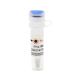 碧云天 GSK2141795 (Akt抑制剂)(SF2825-25mg)