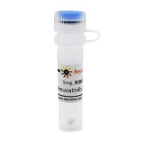 碧云天 Amuvatinib (c-Kit抑制剂)(SF5422-5mg)