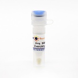 碧云天 Everolimus (mTOR抑制剂)(SC0177-25mg)
