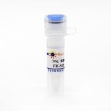 碧云天 FK-506 (mTOR抑制剂)(SC0182-5mg)