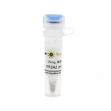 碧云天 PP242 (mTOR抑制剂)(SF2699-25mg)
