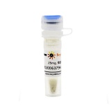 碧云天 KU0063794 (mTOR抑制剂)(SF2807-25mg)