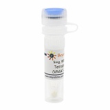 碧云天 Tetrabenazine (VMAT-2抑制剂)(SF8984-5mg)